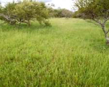 2350 Hectáreas Ganaderas, Gualeguaychú.