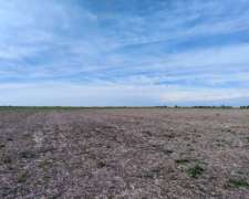 Vendo 135 Has Agricolas Basavilbaso ER