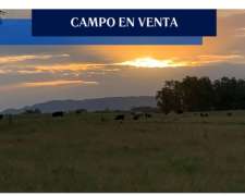 100 Has Junin Buenos Aires