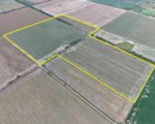 49 Has. Agricolas. Esperanza (santa FE)