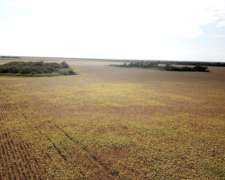 Sachayoj 850 Hectáreas Agricolas