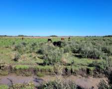 Venta de 310 Has en San Lorenzo - Saladas - Corrientes