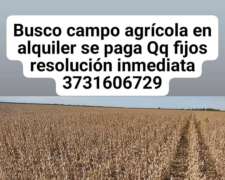 Busco Campo Agrícola en Alquiler