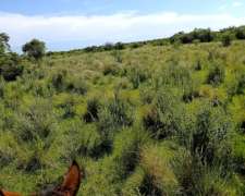 Alquiler de Campo en Mercedes Corrientes