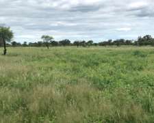 Campo Ganadero - Listo para Escriturar