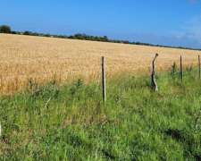 Permuta o Venta 16 Hectáreas