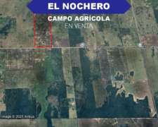 Campo Agrícola 160has el Nochero