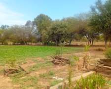 Vendo Campito en Nueva Francia SGO del Estero