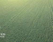 156 Ha Mixtas en Diaz con 66 Ha Agricolas