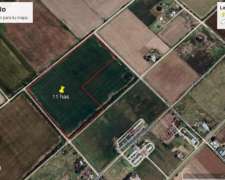 Campo de 10 Has Agrícolas con Excelente Ubicación Ramallo