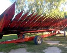 Girasolero Mainero 12 a 70, Disponible, Balcarce