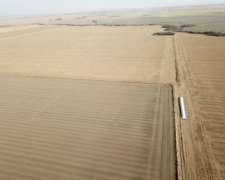 Venta 890 Has Agrícola Córdoba