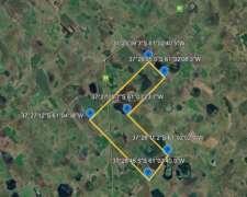 Campo Ganadero Venta Gral Lamadrid 822 Ha