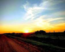 Oportunidad Unica de Inversion Impresionante Campo Mixto