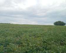 254 Ha Mixtas. en Zona Exclusiva de Nogoyá. Buen Campo