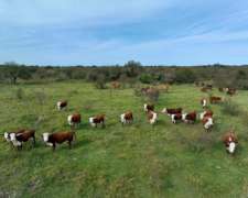 Pcia. de Corrientes - Sauce 2499 Ha