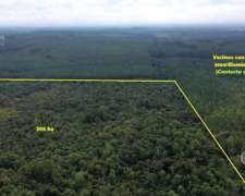 Se Vende. Campo Jardín América. de 306 Ha en SU Mayoria Mont