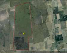 3400 Hectareas Entre Ceres y Selva, Mixto