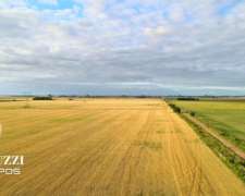 52 Has Suelo Clase 1 - IP 82%. Departamento San Jeronimo.