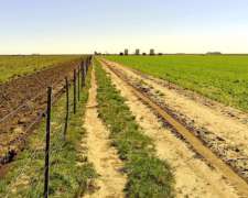 890 Ha Ganaderas. Puán, BS. AS.