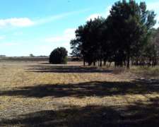 34 Ha Concepción Del Uruguay - Entre Ríos