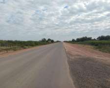 Venta 892 Hect. Campo Miraflores Chaco