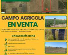 Campo Agricola Ganadero de 35 Hectareas