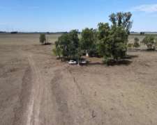 Campo En Venta De 141 Has En Ranchos. Mixto