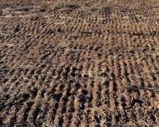 Vendo 400 Has 100 % Agrícolas al SUR de Fraga, San Luis