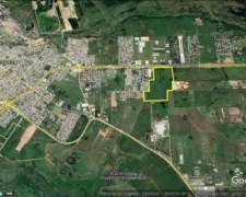 Fraccion Unica de 100 Hectareas Sobre Panamericana