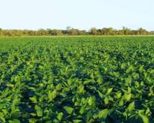 272 Has en Añatuya Santigo del Estero