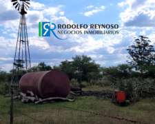 91 HA. en Entre Ríos