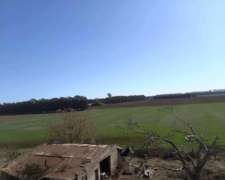 Campo Agrícola 10 Hectáreas