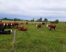 Campo Agricola 163 Hectareas Gualeguaychu