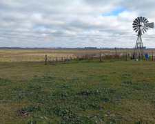 300 Has Mixtas Gral Viamonte