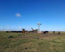 470 Ha Ganadero Chascomus