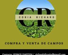 Vendo 1500 Ha de Campo Agrícola en Vilelas