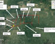 Campo de Actitud Mixta