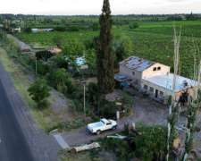 Finca de 42ha con Bodega Funcional Junin Mendoza