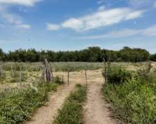 Venta Campo Ganadero. 156 HA. las Palmeras, Santa FE.