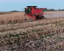 Cosechadora Case 2388 2009 muy Buen Estado