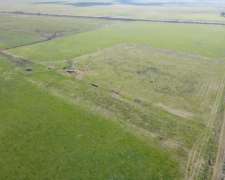 10 Hectáreas Agrícolas A 500 Metros De Ruta 16. Gualeguaychú