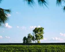 Venta Campo En Santi Spíritu, Santa Fe - 1400 Ha