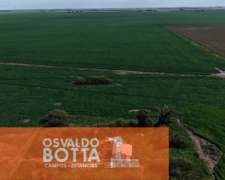 Campo Mixto en Venta, 800has en Coronel Dorrego, BS AS