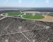Campo En Venta, 137 Has, Mendoza. Agricola