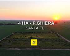 4 Ha Fighiera Santa FE