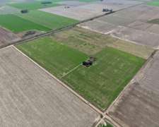 40 Hectáreas Agrícolas en Máximo PAZ