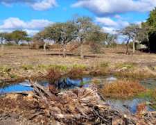 Campito de 1 1/2 Hectárea o Dos Lotes de 7500 M2