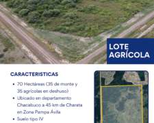 Campo - Lote de 70 Hectáreas en Zona Charata Chaco