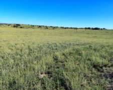 600ha en Abramo la Pampa